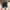 Converse Streetwear Sneakers Pria brown photo 3