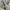 Japanese brand Streetwear Y2K Windbreaker Pria gray photo 4