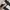 DOHC Vintage Casual Varsity jacket Pria white black photo 5