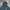 Columbia Gorpcore Windbreaker Pria navy photo 2