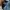 Columbia Gorpcore Windbreaker Pria navy photo 5