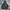 Columbia Gorpcore Windbreaker Pria navy photo 1