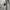 Vivienne Westwood Grunge Avant Garde Hoody Pria gray photo 5