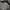 Vivienne Westwood Grunge Avant Garde Hoody Pria gray photo 8