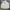 Jones New York Vintage Harrington Jacket Pria White
