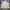 Jones New York Vintage Harrington jacket Pria white photo 2