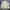 Jones New York Vintage Harrington Jacket Pria White
