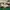 New Balance Streetwear Sportswear Sneakers Wanita green white photo 1