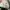 New Balance Streetwear Sportswear Sneakers Wanita green white photo 8