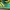 Adidas Streetwear Casual Sneakers Pria green yellow photo 7