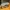 Adidas Streetwear Casual Sneakers Pria green yellow photo 5