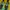 Adidas Streetwear Casual Sneakers Pria green yellow photo 4