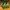 Adidas Streetwear Casual Sneakers Pria green yellow photo 6