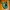 Adidas Streetwear Casual Sneakers Pria Green Yellow