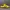 Adidas Casual Casual shoe Pria yellow red photo 3