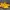 Adidas Casual Casual shoe Pria yellow red photo 5