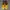 Adidas Casual Casual shoe Pria yellow red photo 4