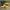Adidas Casual Casual shoe Pria yellow red photo 6