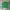 Polo Ralph Lauren Vintage Y2K Cardigan Kids green photo 1