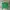 Polo Ralph Lauren Vintage Y2K Cardigan Kids Green