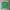 Polo Ralph Lauren Vintage Y2K Cardigan Kids green photo 5