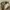 Vintage Y2K Bags & purse Wanita white tan photo 3