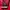 516 Sportswear Casual Windbreaker Pria red photo 4