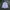 Thom Browne Luxury Formal shirt Pria white photo 1