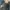 Casual Jeans Pria navy gray photo 4