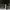 Streetwear Casual Trench Coat Pria Black
