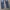 Streetwear Jeans Pria blue photo 8