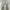 Casual Jeans Pria green gray photo 1