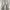 Casual Jeans Pria Green Gray