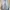 Casual Jeans Pria blue gray photo 2