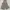 Stussy Y2K Skater Sweatpants & Joggers Pria silver gray photo 7