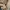 Casual Leather jacket Pria tan brown photo 6