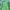 Mountain Hardwear Streetwear Y2K Jersey Pria green photo 1