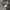 The North Face Goth Track jacket Pria black photo 8