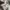 Casual Track jacket Pria white photo 8