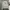 Casual Track jacket Pria white photo 1