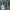 CRSL Vintage Casual Jersey Kids green photo 1