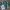 CRSL Vintage Casual Jersey Kids Green