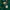 Le Coq Sportif Luxury Hoody Pria green photo 5