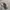 Adidas Luxury Minimalist Hoody Pria gray photo 4