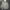 Adidas Luxury Minimalist Hoody Pria gray photo 1