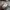 Adidas Luxury Minimalist Hoody Pria gray photo 6