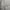 Adidas Luxury Minimalist Hoody Pria gray photo 3
