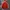 Adidas Luxury Minimalist Hoody Pria red photo 1