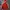 Adidas Luxury Minimalist Hoody Pria Red