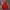 Adidas Luxury Minimalist Hoody Pria Red